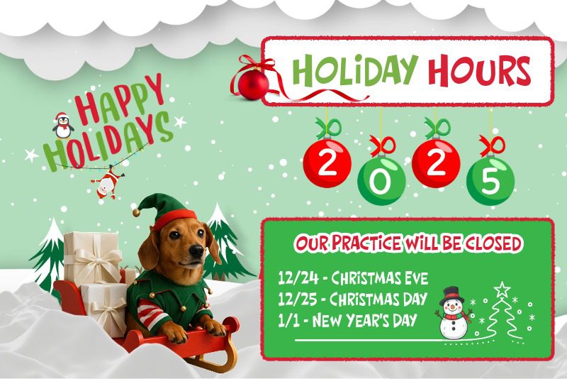 Srvc Holiday Hours 2025