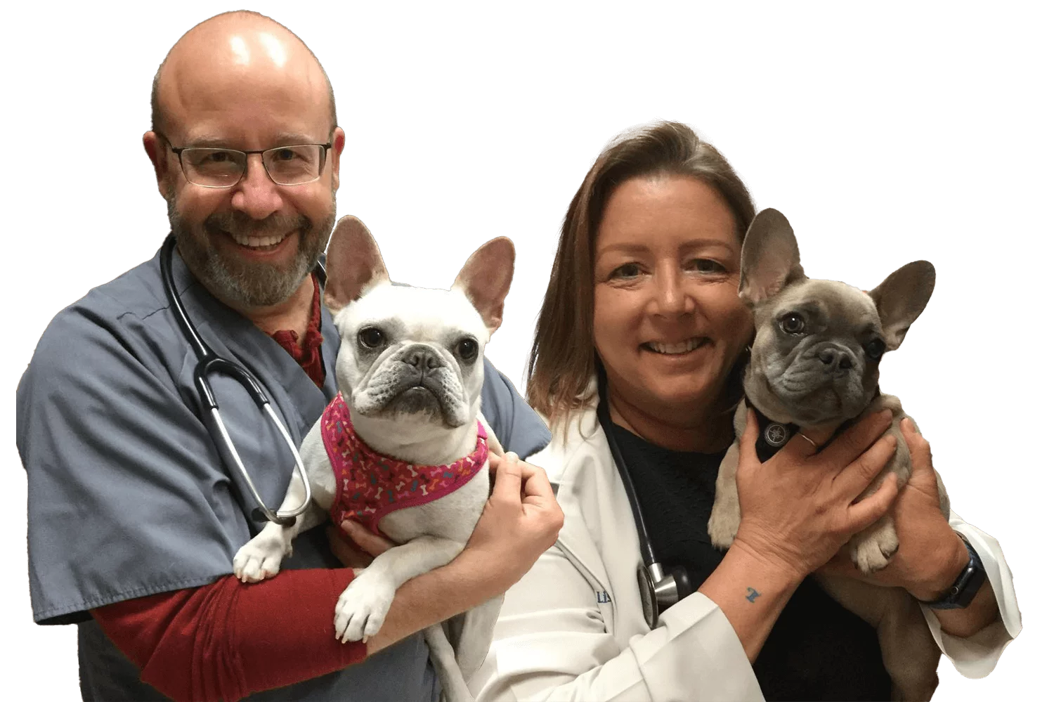 Two Vets With French Bulldogs