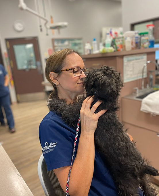 Dog With Ear Up 0012 Tech Holding Black Puppy 1