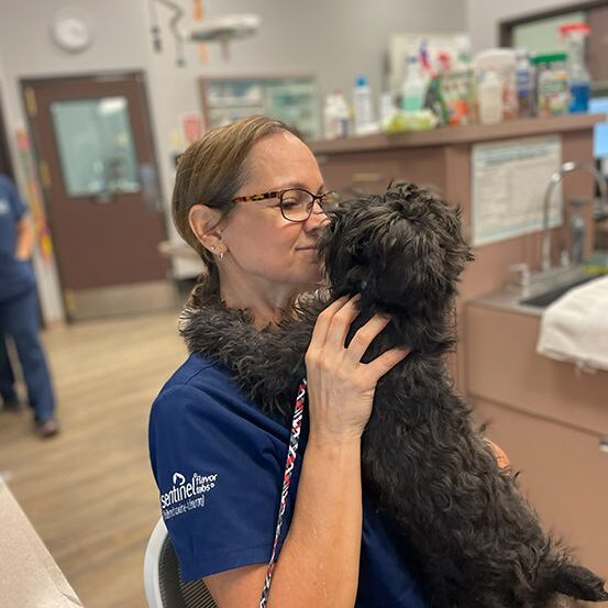 Tech Holding Black Puppy