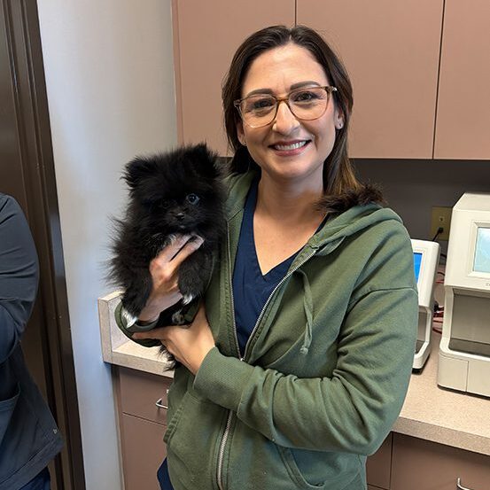 Staff Holding Black Pomeranian
